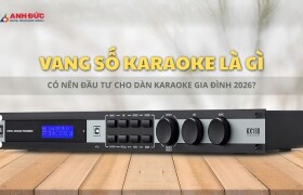 Vang số karaoke là gì? Có thật sự cần thiết cho dàn karaoke gia đình?