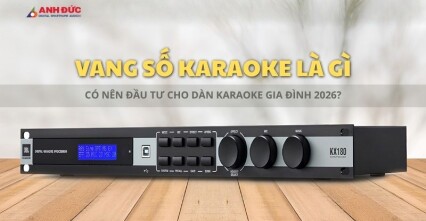 Vang số karaoke là gì? Có thật sự cần thiết cho dàn karaoke gia đình?