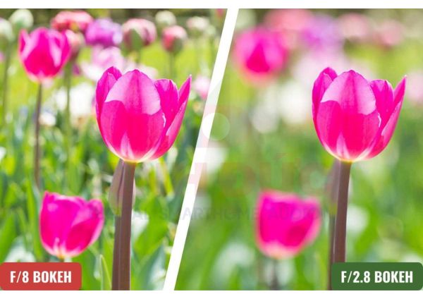 Khẩu độ máy ảnh là gì - 2