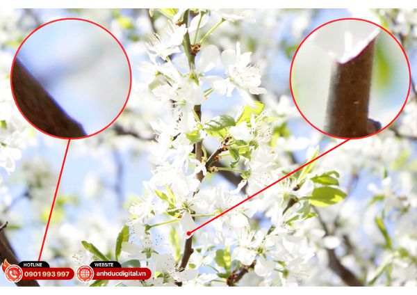 Khẩu độ máy ảnh là gì - 3