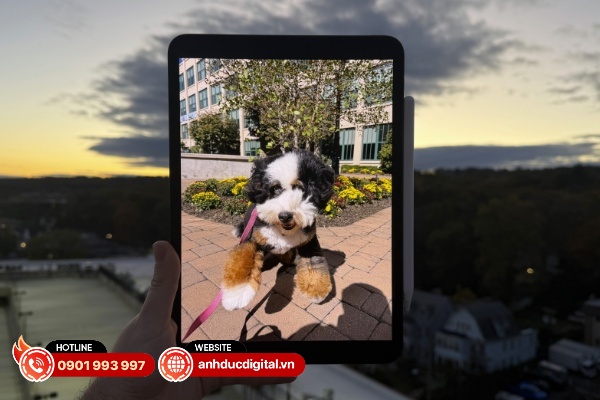 iPad Pro M5 vẫn trung thành với màn hình OLED Ultra Retina XDR với công nghệ tandem OLED