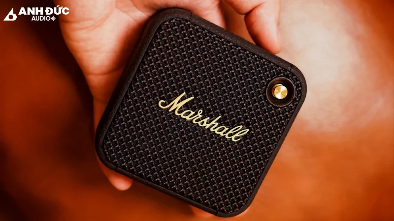 Marshall Willen II nhỏ gọn nhưng mạnh mẽ, sẵn sàng cho mọi cuộc vui