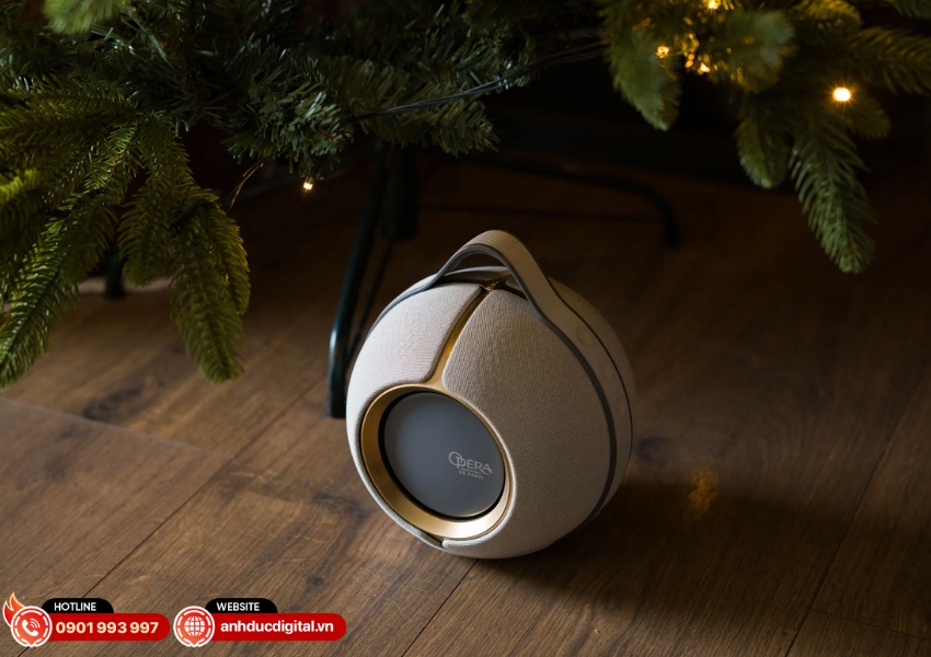 Loa bluetooth Devialet Mania