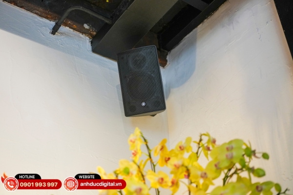 Hệ thống âm thanh Gụ Wine Bistro