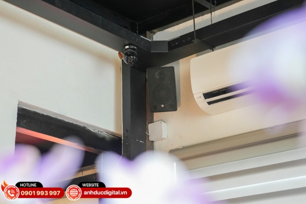 Hệ thống âm thanh Gụ Wine Bistro