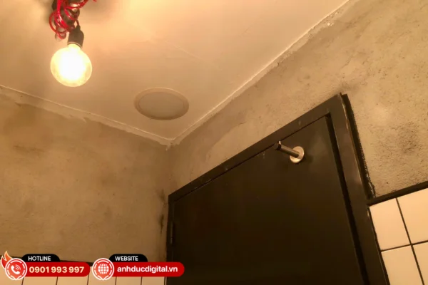 Loa Jamo 6.5 CS-T thiết kế nhỏ gọn, cho âm thanh nhẹ nhàng, phù hợp khu vực phụ như toilet hoặc hành lang