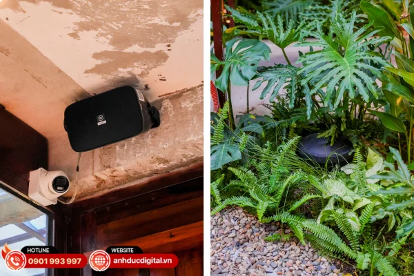 Giải pháp kết hợp đa thương hiệu loa giúp tối ưu chất âm, phủ âm đồng đều và phù hợp với từng khu vực không gian