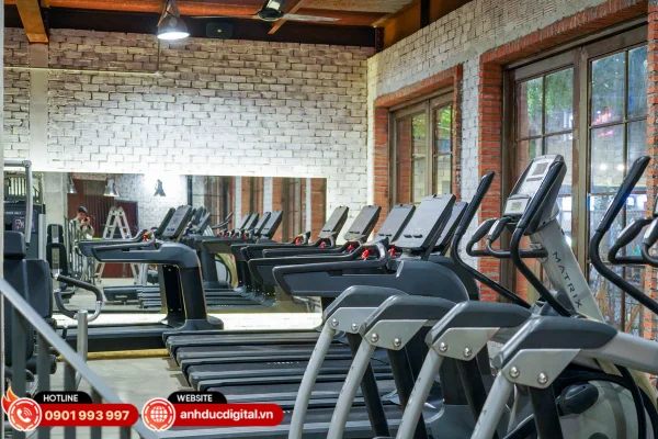 Hệ thống âm thanh Mega Fitness & Yoga Center do Anh Đức Audio triển khai, mang đến trải nghiệm luyện tập sống động và đồng bộ cho toàn bộ không gian phòng gym và yoga