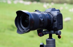 Canon R5 chụp thể thao: Có đáng đầu tư trong năm 2026 hay đã lỗi thời?