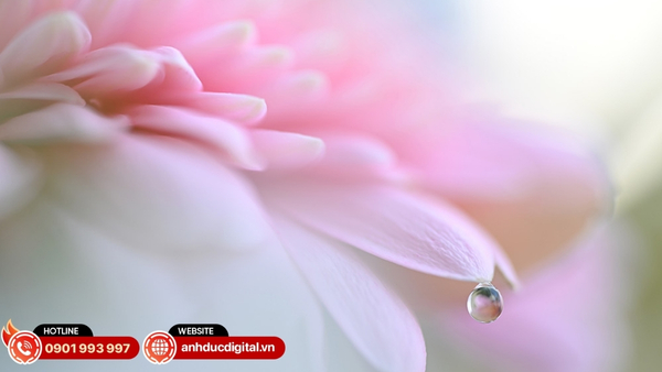 so-sanh-canon-r6-iii-va-nikon-z6-ii-5