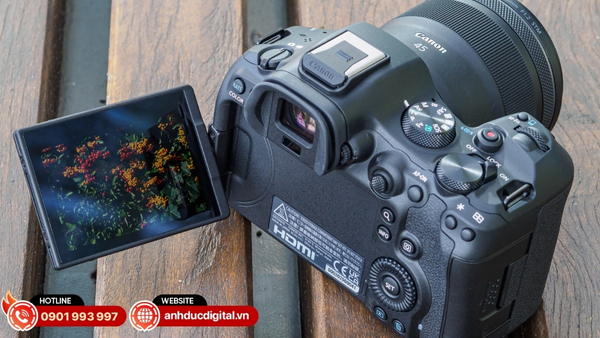 so-sanh-canon-r6-iii-va-nikon-z6-ii-8