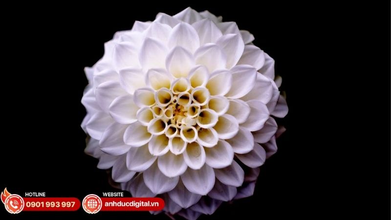 chup-anh-macro-la-gi-5