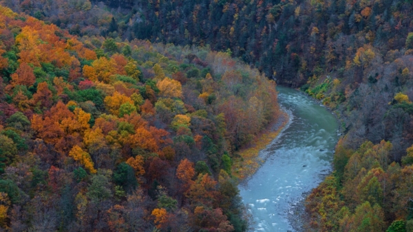 Hình ảnh mẫu được chụp bởi Canon EOS R6 Mark III