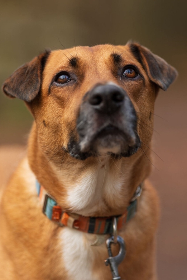 Hình ảnh mẫu được chụp bởi Canon EOS R6 Mark III