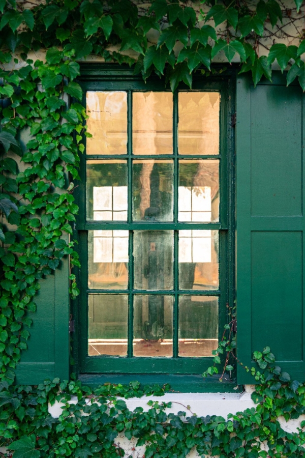 Hình ảnh mẫu được chụp bởi Canon EOS R6 Mark III