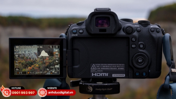 Canon EOS R6 Mark III trang bị kính ngắm điện tử (EVF) OLED 3,69 triệu điểm ảnh