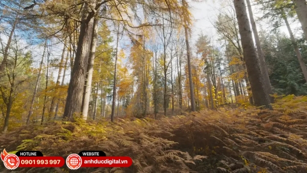 f/2.0 giúp thu sáng tốt khi quay tối còn f/4.0 hạn chế cháy sáng trong môi trường sáng mạnh