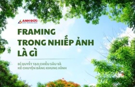Framing trong nhiếp ảnh là gì? Bí quyết tạo nên những bức ảnh có chiều sâu và giàu cảm xúc