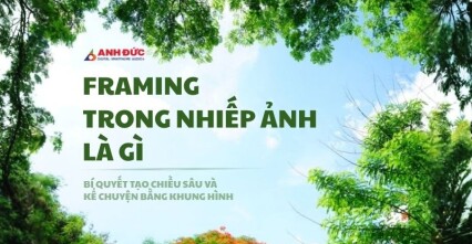 Framing trong nhiếp ảnh là gì? Bí quyết tạo nên những bức ảnh có chiều sâu và giàu cảm xúc