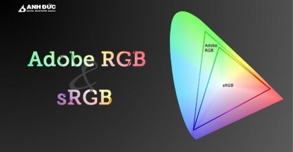 Hệ Màu sRGB Và Adobe RGB Khác Nhau Thế Nào? Nên Chọn Chuẩn Nào?