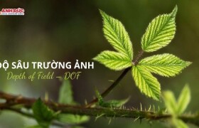 Độ sâu trường ảnh là gì? Bí quyết tạo nên những bức ảnh có chiều sâu chuyên nghiệp