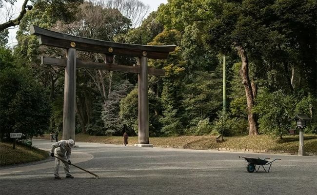 Khả năng thu sáng ấn tượng giúp hình ảnh luôn trong trẻo ngay cả khi quay chụp thiếu sáng.