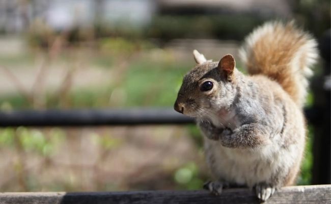 Thiết kế siêu nhẹ và cơ động, giúp bạn thoải mái sáng tác suốt ngày dài mà không mệt mỏi