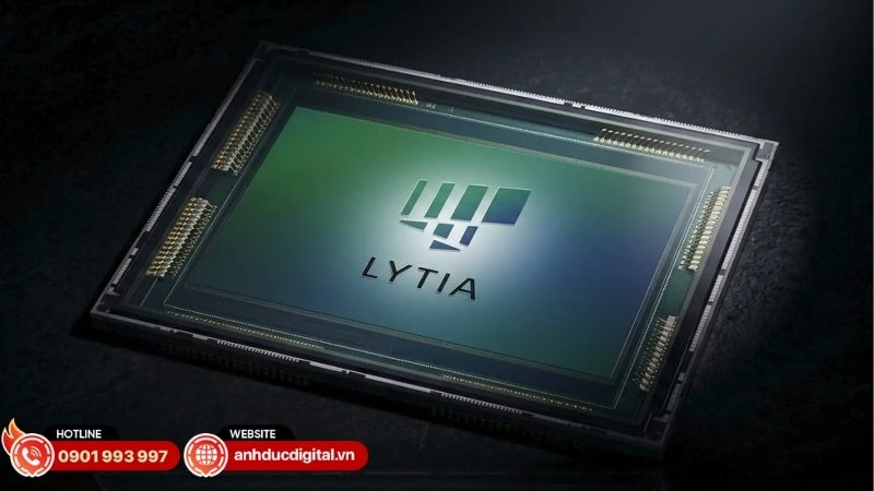 lytia-l910-la-gi-4