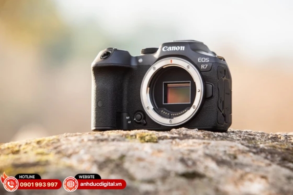Canon EOS R7 sở hữu cảm biến 32.5MP cùng khả năng chụp liên tiếp 30fps mạnh mẽ, lý tưởng cho nhiếp ảnh thể thao và động vật hoang dã
