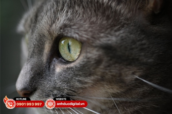 nikkor dx 16-50 dx mc 35 5
