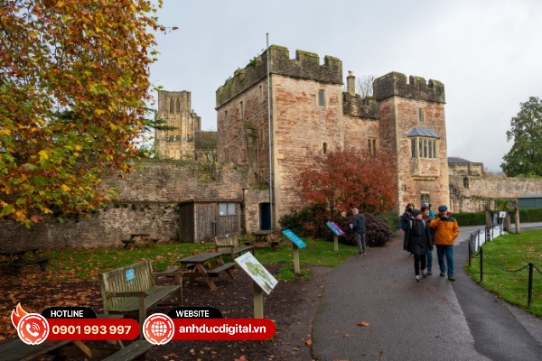 Nikkor Z DX 16-50mm F2.8 VR cho hình ảnh tương đối sắc nét từ phần giữa khung hình trên các góc ngoài cùng