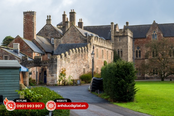 Ống kinh Nikkor Z DX 16-50mm F2.8 VR có tốc độ lấy nét nhanh và độ chính xác tương đối nhất quán thông qua động cơ bước tuyến tín