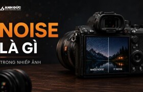 Noise là gì trong nhiếp ảnh? Nguyên nhân, phân loại và cách giảm nhiễu hiệu quả