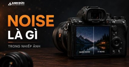 Noise là gì trong nhiếp ảnh? Nguyên nhân, phân loại và cách giảm nhiễu hiệu quả