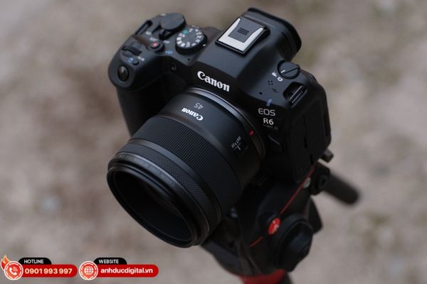 Chi tiết và chiều sâu nổi bật từ ống kính Canon RF 45mm f/1.2 STM trên R6 III