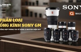 Phân loại ống kính Sony GM: Các dòng G Master hiện nay