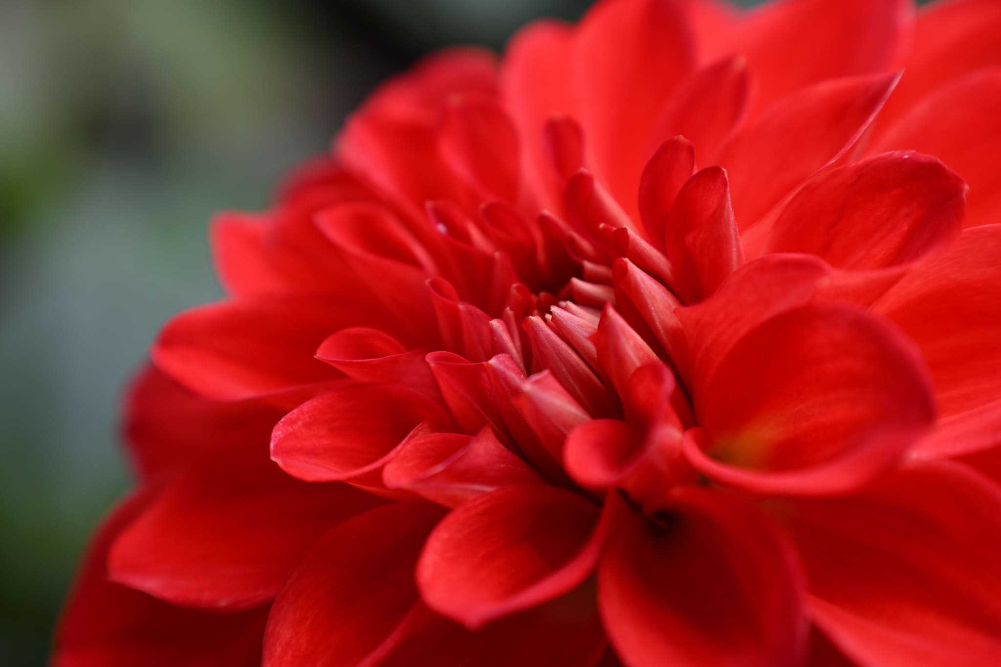 Lấy nét mượt, dễ làm quen – phù hợp với người mới sử dụng Nikon Z.