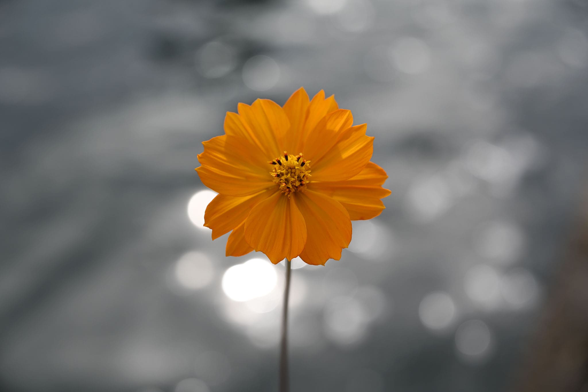 Kích thước filter phổ biến, dễ mua và tiết kiệm chi phí phụ kiện.