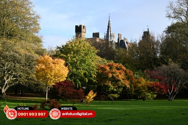 Vùng khẩu độ F/4 - F/8 phù hợp để chụp hình phong cảnh