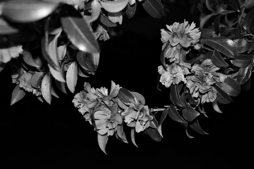 Ricoh GR IV Monochrome kiểm soát tương phản và chuyển sắc mượt, giúp ảnh có chiều sâu và rõ ràng.