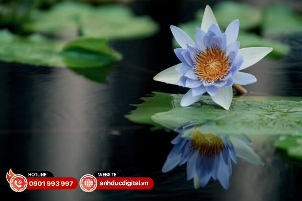 Sigma 200mm F2 DG OS Sport gần như ít xảy ra hiện tượng méo ảnh và tối viền