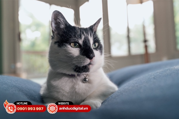 Độ sắc nét và tương phản được cải thiện khi giảm khẩu độ F4