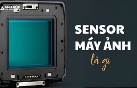 Sensor là gì? Vai trò của cảm biến máy ảnh và những điều người dùng cần biết