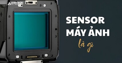 Sensor là gì? Vai trò của cảm biến máy ảnh và những điều người dùng cần biết