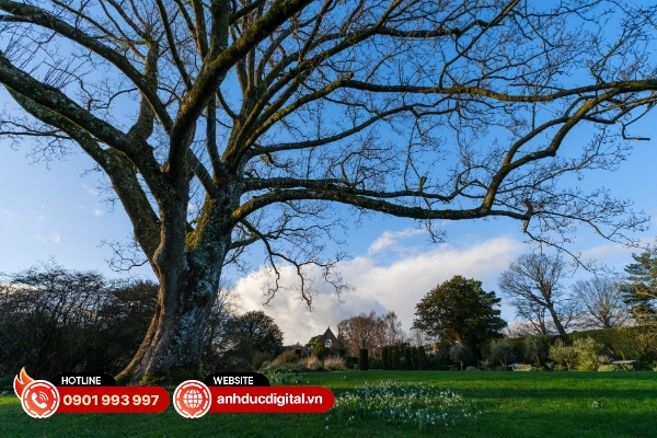 Hiện tượng tối viền trên Sigma 10-18mm F2.8 không giống nhau giữa các hệ ngàm