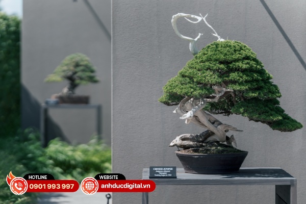 Động cơ HLA kép cho khả năng lấy nét nhanh và chính xác