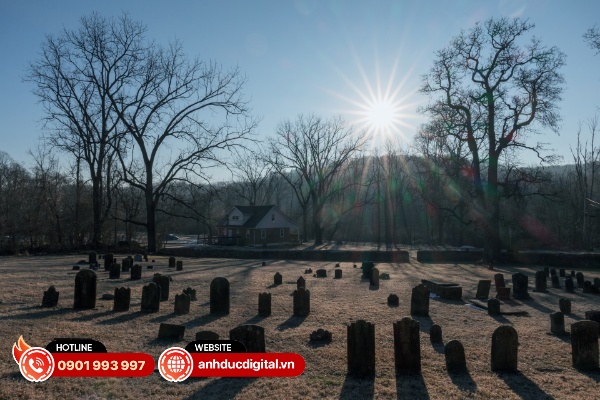 Hiệu ứng tia sao của Sigma 15mm F1.4 DC khi chụp ảnh hướng về phía mặt trời