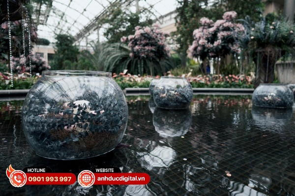 Sigma 15mm F1.4 DC được trang bị hệ thống quang học phức tạp cho hiệu suất quang học ấn tượng