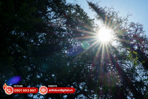 Khả năng chống lóa của Sigma 17 – 40mm F/1.8 DC Art cũng được đánh giá rất cao