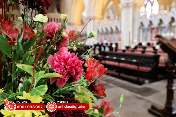 Sigma 17 – 40mm F/1.8 DC Art mang đến khả năng xóa phông mềm mại với hiệu ứng bokeh đẹp mắt